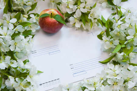 beautiful designer background with the sprigs of flowering apple-tree with an envelope and red apple