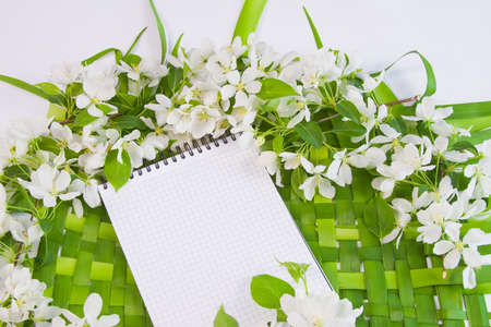 beautiful designer background with the sprigs of flowering apple-tree with a notebookの写真素材