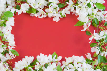 beautiful designer background with the sprigs of flowering apple-tree