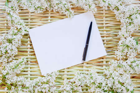 designer background from the twigs of willow and flowers  of lilacの写真素材