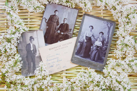 designer background from the twigs of willow, flowers  of lilac and old photosの写真素材