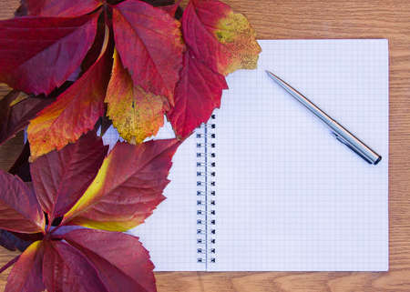 background from the autumn leaves of wild grapesの写真素材