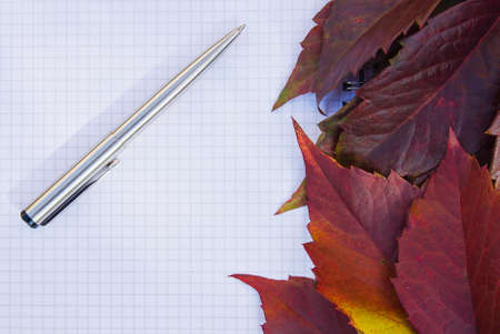 background from the autumn leaves of wild grapesの写真素材