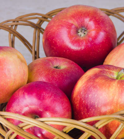 fruit large red ripe apples in a pedの写真素材