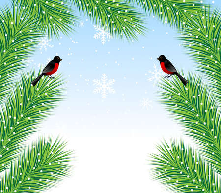 new-year background with spruce branch and bullfinch, vector illustrationのイラスト素材