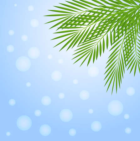 background for a design with green branches,  vector  illustrationのイラスト素材