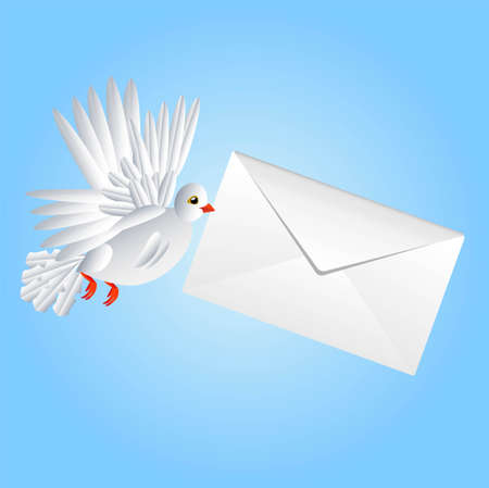 bird a white pigeon carries a white envelope in a beak,  vector  illustrationのイラスト素材