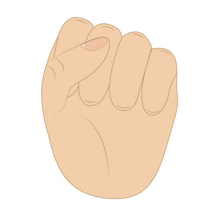 hand compressed in a fist on a white background, vector illustrationのイラスト素材
