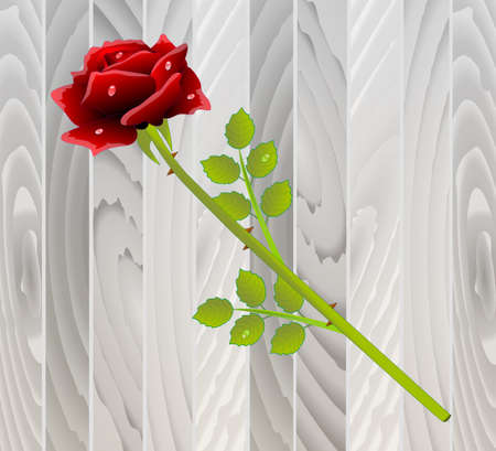 red rose on wooden texture,vector illustrationのイラスト素材