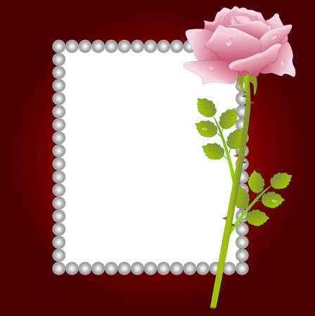 pink rose and greeting-card,vector illustrationのイラスト素材