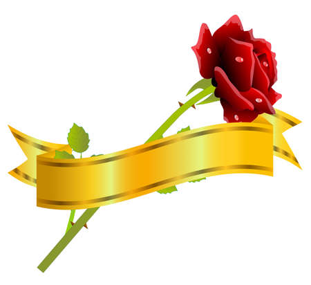 red rose and gold ribbon on a white background,vector illustrationのイラスト素材