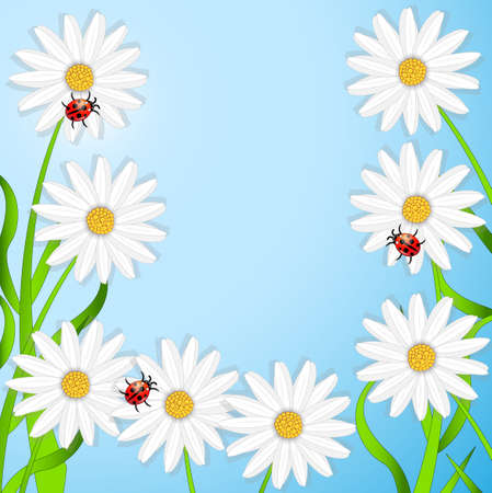 background with the flowers of camomile and ladybirds,vector illustrationのイラスト素材