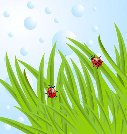 background  with green leaves and ladybirds,  vector  illustrationのイラスト素材