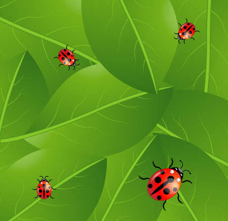 background  with green leaves and ladybirds,  vector  illustrationのイラスト素材