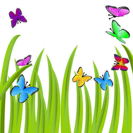 background  with a green grass and butterflies,  vector  illustrationのイラスト素材