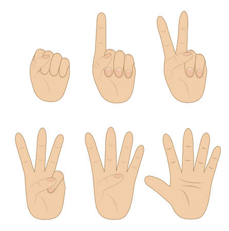 set hand, showing different number on white background, vector illustrationのイラスト素材
