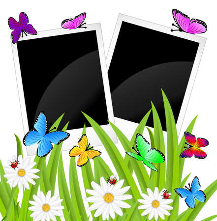 background  with flowers and butterflies, vector illustrationのイラスト素材