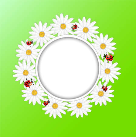 background with the flowers of camomile and ladybirds,vector illustrationのイラスト素材