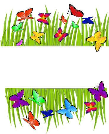 background  with a green grass and butterflies,  vector  illustrationのイラスト素材