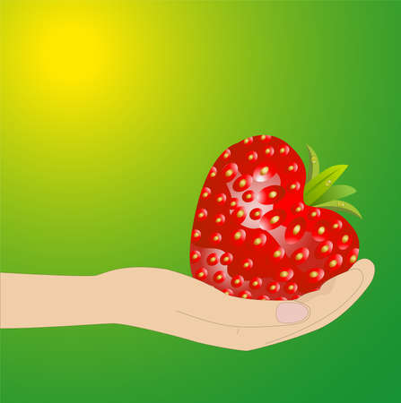 ripe berries of strawberry in a hand on a green backgroundのイラスト素材
