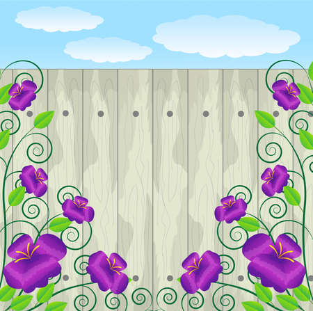 violet flowers on a  wooden fenceのイラスト素材