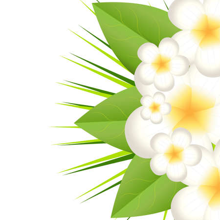 background for a design with beautiful flowers, vector illustrationのイラスト素材