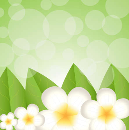 background for a design with beautiful flowers, vector illustrationのイラスト素材