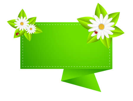 background for a design with beautiful flowers, vector illustrationのイラスト素材