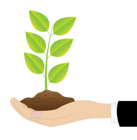 green sprout in a hand on a white background,vector illustrationのイラスト素材