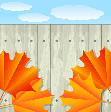 background for a design with the autumn leaves of maple,vector illustrationのイラスト素材