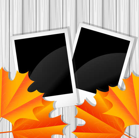 background for a design with the autumn leaves of maple,vector illustrationのイラスト素材