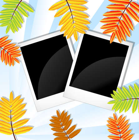 background for a design with the autumn leaves of wild ash,vector illustrationのイラスト素材