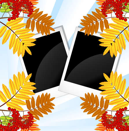 branch with autumn leaves and berries of wild ash,vector illustrationのイラスト素材