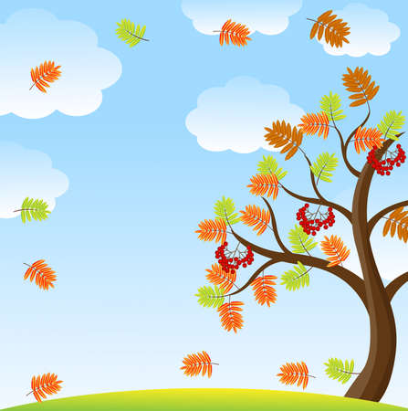 tree with autumn leaves and berries of wild ash on a background sky,vector illustrationのイラスト素材