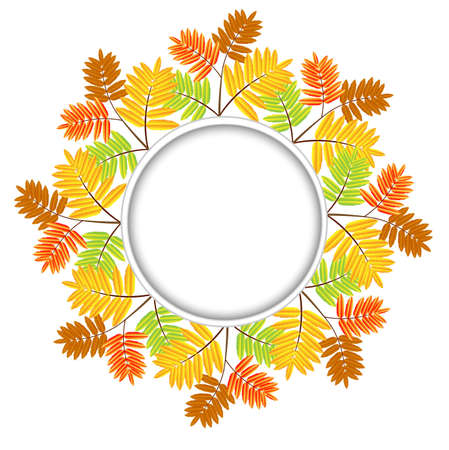background for a design with the autumn leaves of wild ash,vector illustrationのイラスト素材