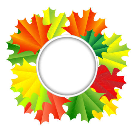 background for a design with the autumn leaves of maple,vector illustrationのイラスト素材