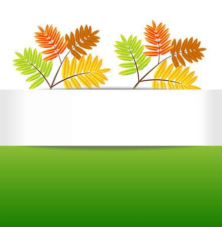 background for a design with the autumn leaves of wild ash,vector illustrationのイラスト素材