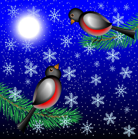bullfinchs sit on the branches of fir-tree,  vector  illustrationのイラスト素材