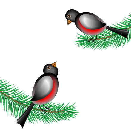 bullfinchs sit on the branches of fir-tree,  vector  illustrationのイラスト素材