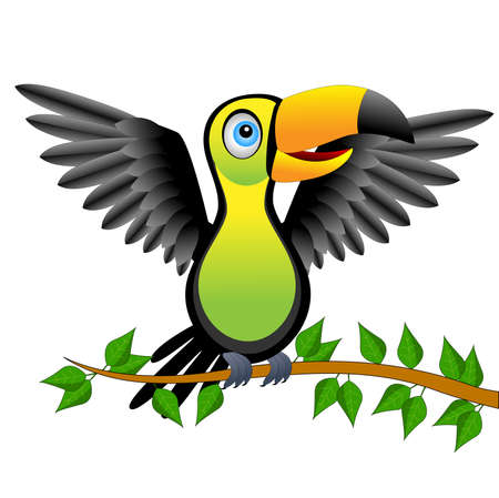 Toucan bird sitting on vetch,vector illustrationのイラスト素材