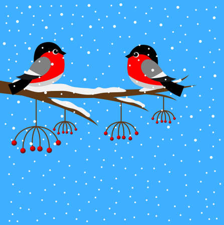 Two bullfinch sitting on a branch of a mountain ash, vector illustrationのイラスト素材