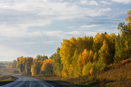 Golden Autumn - beautiful trees with yellow leaves against the blue skyの写真素材