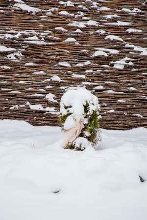 Tyumen, Russia - November 06.2016: Landscape with sculptures in the snow winter dayのeditorial素材