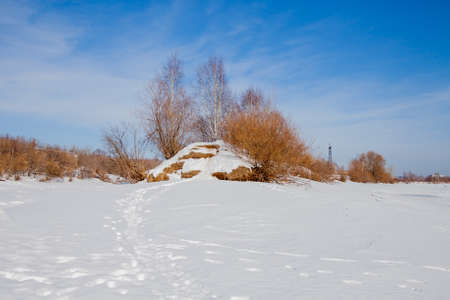 Winter landscape with trees on mountain. Perm, Russia