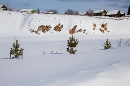 Winter rural landscape on the river Chusovoy in the village of Sloboda, Sverdlovsk region, Russiaの写真素材