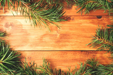 Christmas fir tree on a wooden board. vintageの写真素材