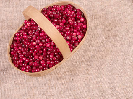 Basket with fresh cranberries on fabric backgroundの写真素材