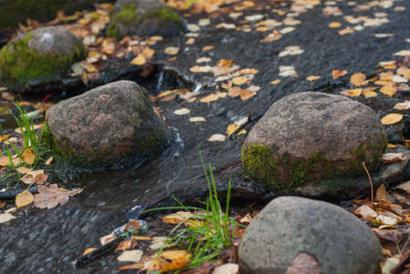 A creek with stones covered with moss and floating leavesの写真素材