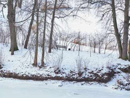 The frozen river in a winter park on a cold dayの写真素材