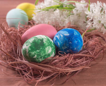 Easter eggs in a nest and white flowers on a wooden backgroundの写真素材
